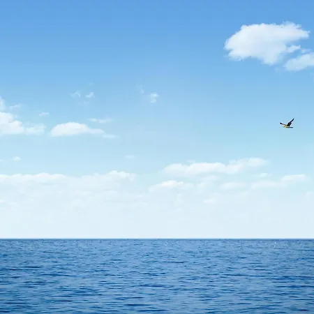 Amazing In With Wifi *